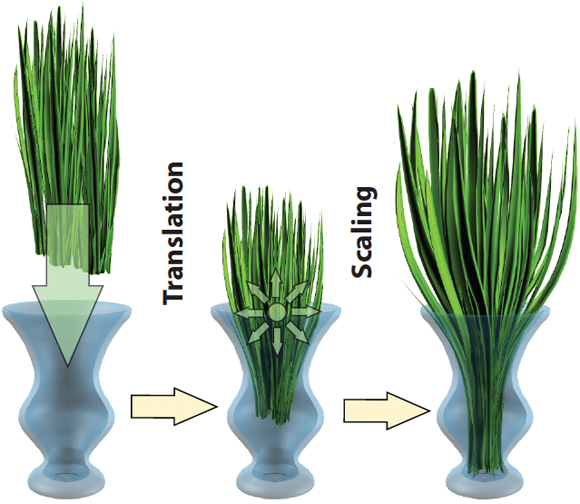 Plants modeled while resolving contact with the vase Plants modeled while resolving contact with the vase