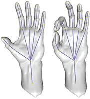 Interactive Shape Modeling Interactive Shape Modeling
